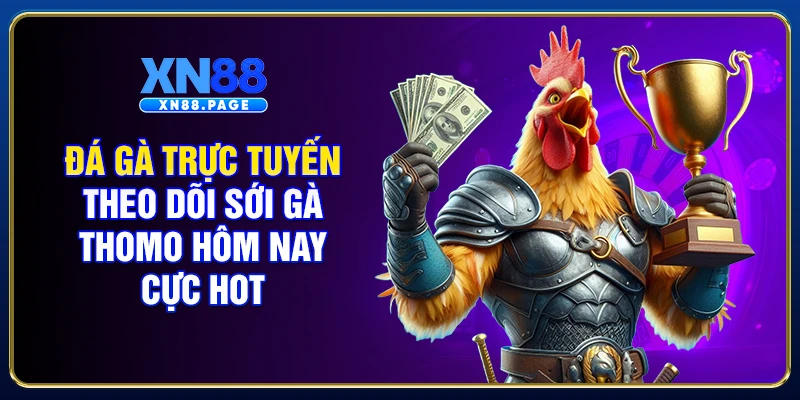 Đá Gà Trực Tuyến - Theo Dõi Sới Gà Thomo Hôm Nay Cực Hot
