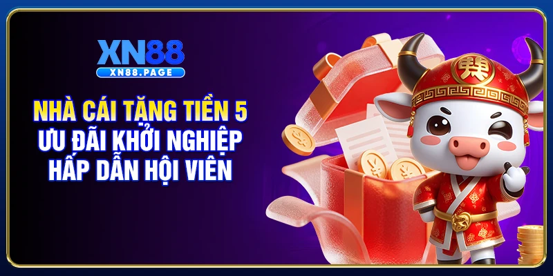 Nhà Cái Tặng Tiền - 5 Ưu Đãi Khởi Nghiệp Hấp Dẫn Hội Viên
